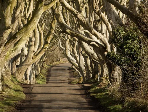 Ireland Ireland